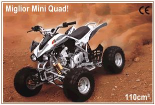 mini quad 110cc